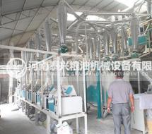 玉米黃金粉加工設(shè)備